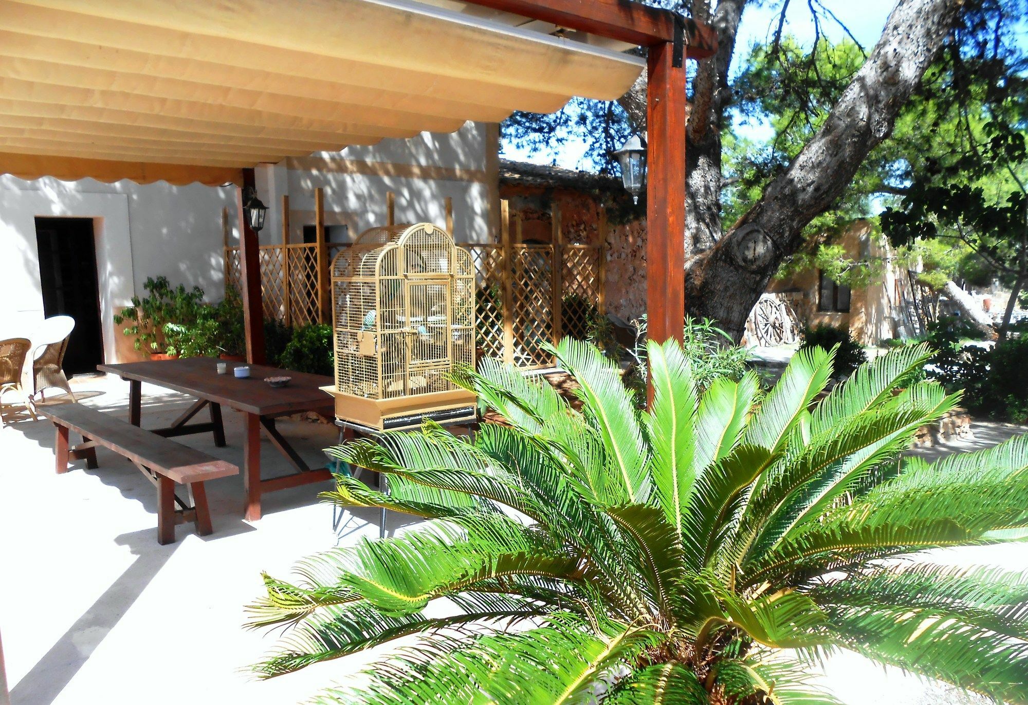 Farm stay Llimona *